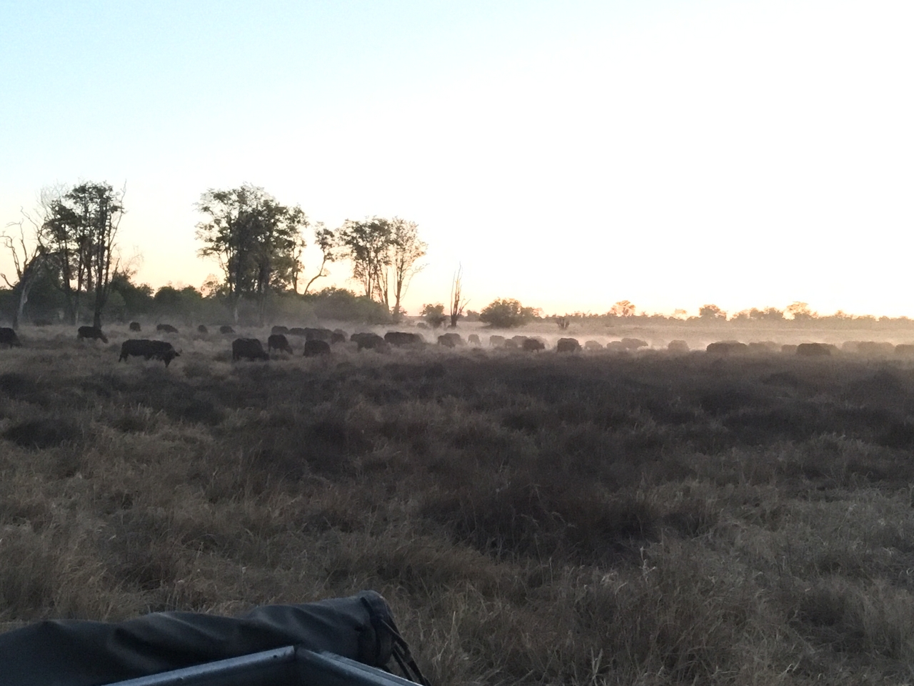 [20449] 2016_06_28_18_20_20_Africa_iPhone_6_Plus_IMG_3845_00395.jpg
