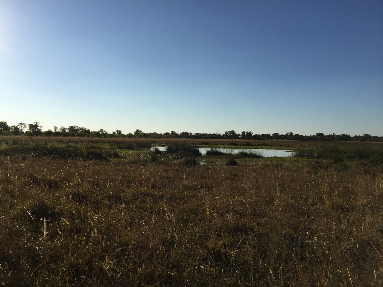 [22205] 2016_06_29_16_41_33_Africa_iPhone_6_Plus_IMG_3884_07011.jpg
