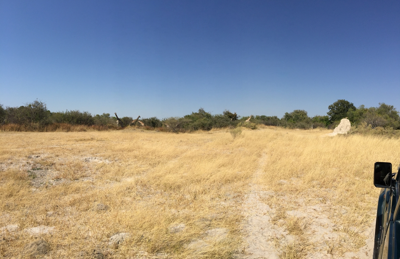 [25201] 2016_06_30_11_34_33_Africa_iPhone_6_Plus_IMG_3951_00456.jpg