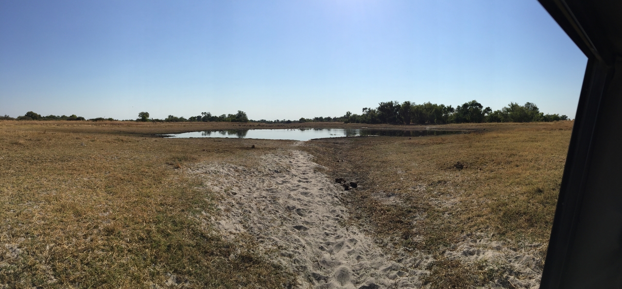 [25312] 2016_06_30_14_55_13_Africa_iPhone_6_Plus_IMG_3977_00471.jpg
