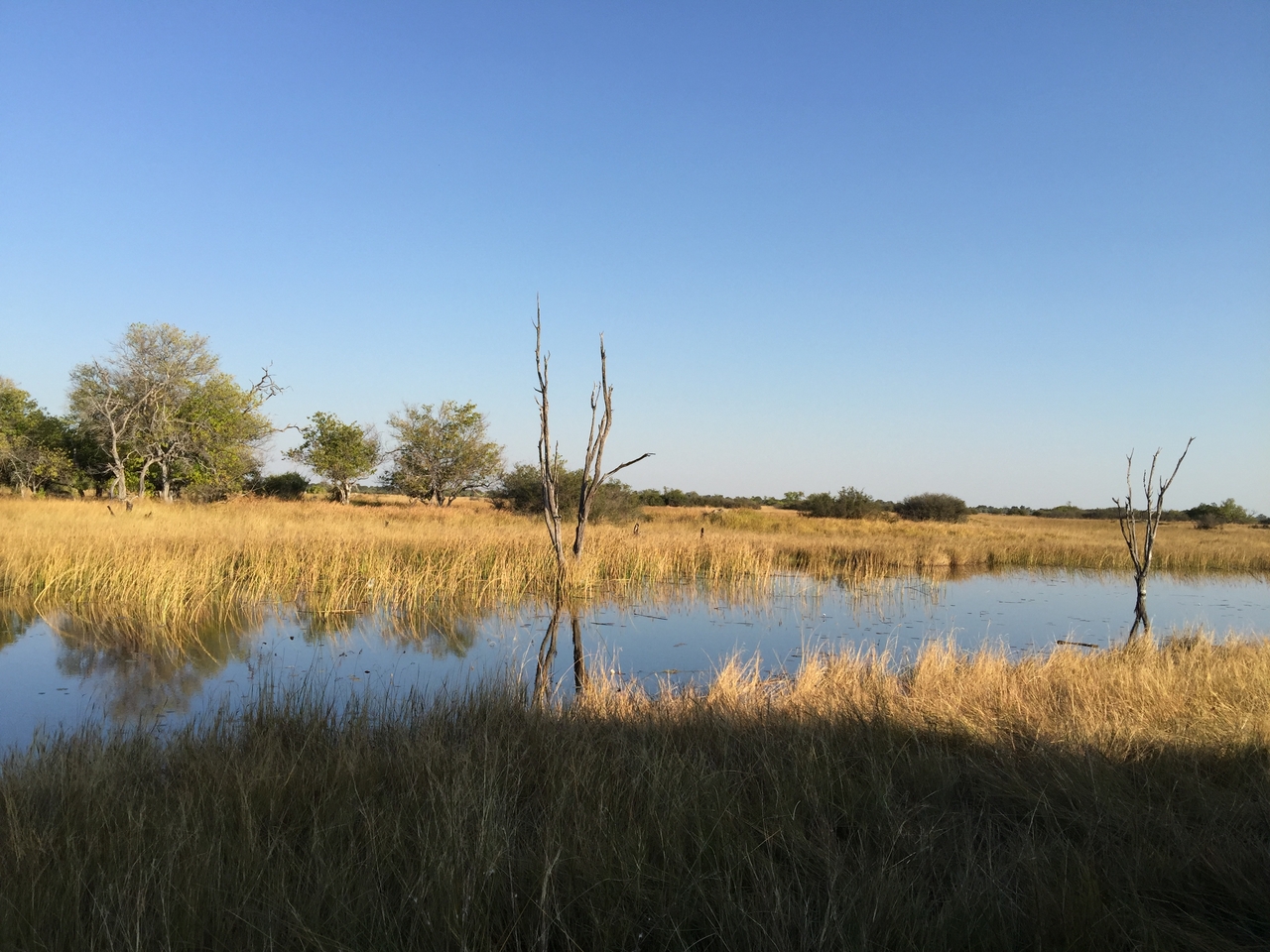 [26613] 2016_06_30_16_32_03_Africa_iPhone_6_Plus_IMG_4002_00001.jpg