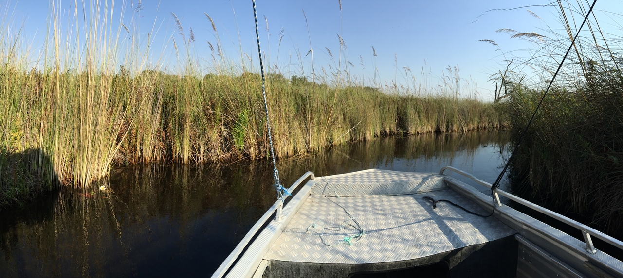 [26923] 2016_07_01_09_36_22_Africa_iPhone_6_Plus_IMG_4008_00003.jpg