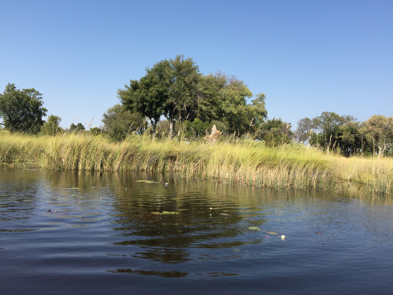 [26974] 2016_07_01_11_00_29_Africa_iPhone_6_Plus_IMG_4044_00016.jpg