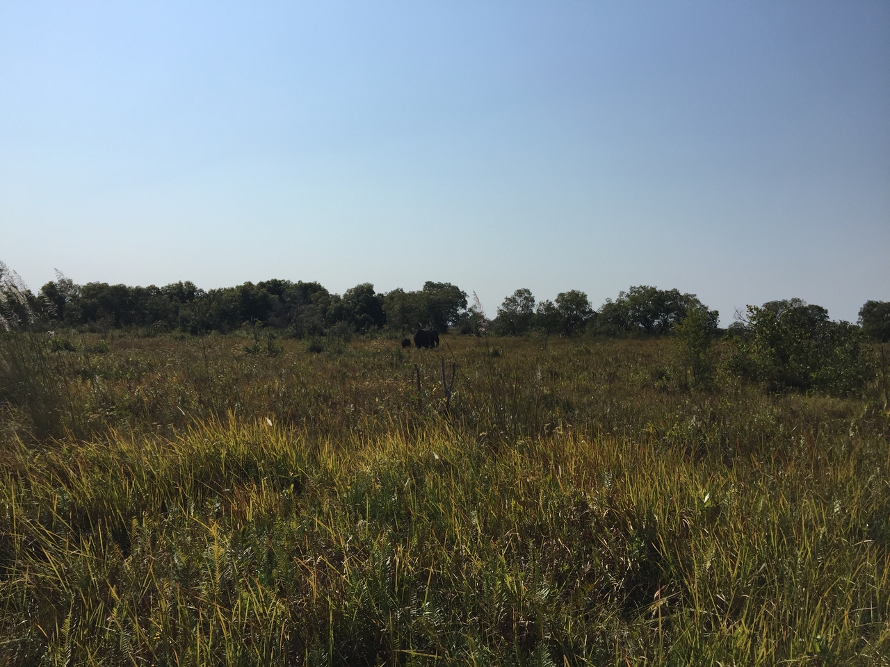 [26998] 2016_07_01_11_42_20_Africa_iPhone_6_Plus_IMG_4065_00023.jpg