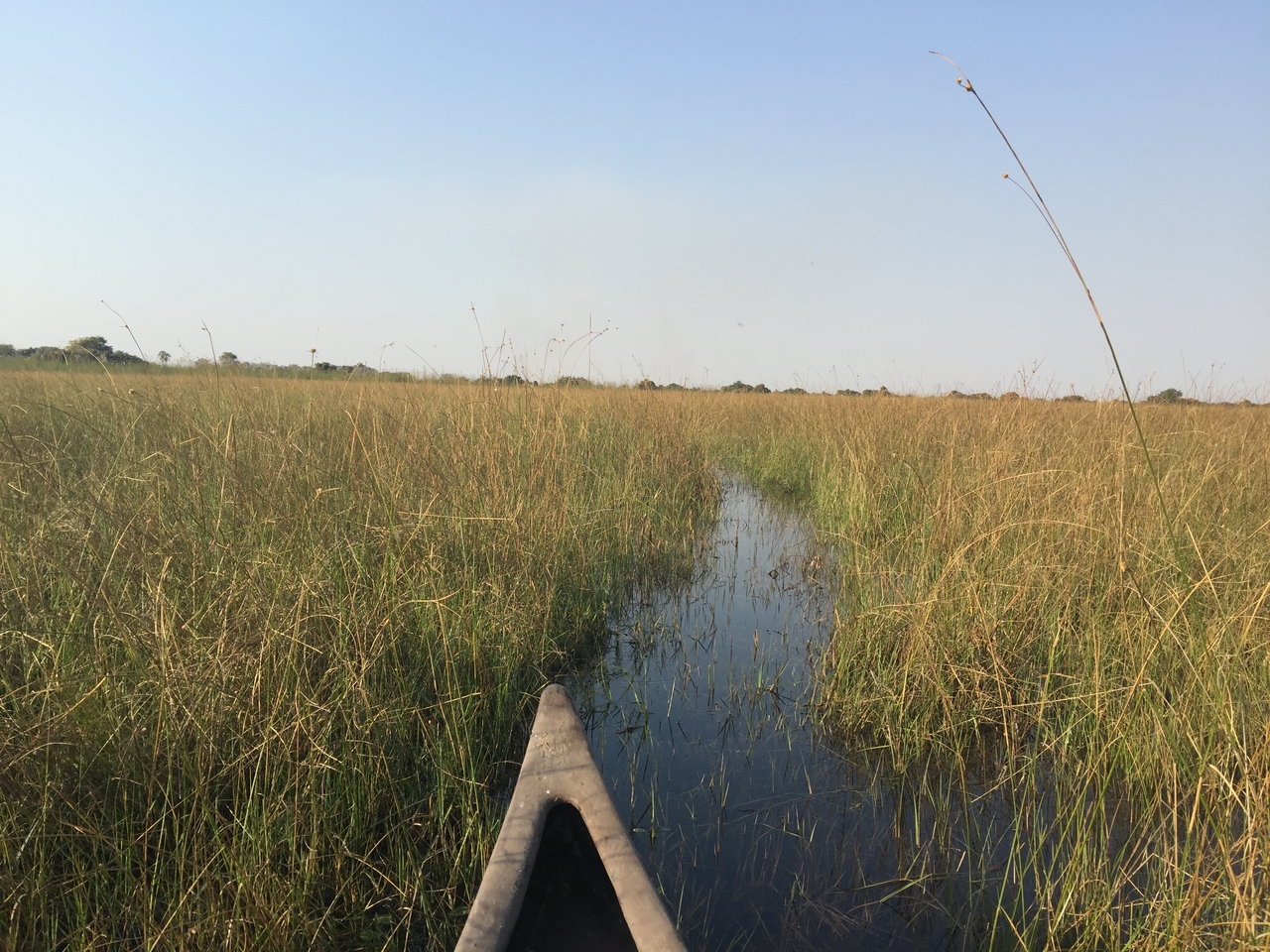 [27228] 2016_07_01_16_07_07_Africa_iPhone_6_Plus_IMG_4128_00557.jpg