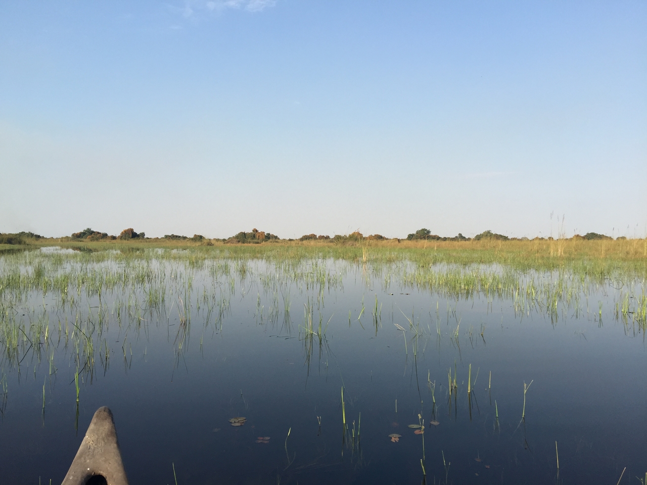 [27236] 2016_07_01_16_16_21_Africa_iPhone_6_Plus_IMG_4130_00070.jpg