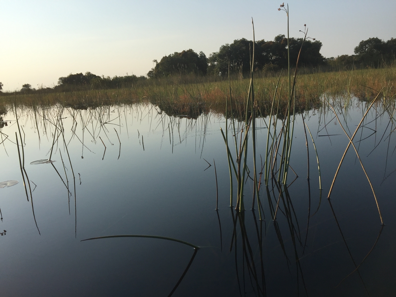 [27346] 2016_07_01_16_46_49_Africa_iPhone_6_Plus_IMG_4570_07154.jpg