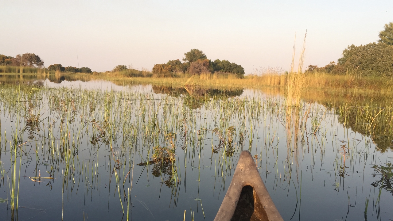 [27380] 2016_07_01_17_17_55_Africa_iPhone_6_Plus_IMG_4589_00087.jpg