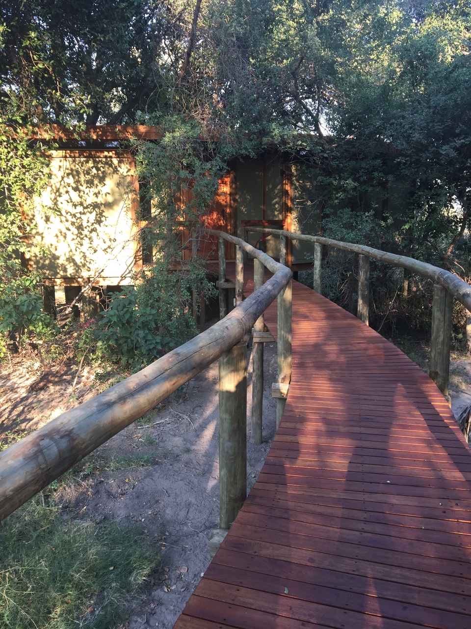 [27887] 2016_07_02_08_24_05_Africa_iPhone_6_Plus_IMG_4631_07191.jpg