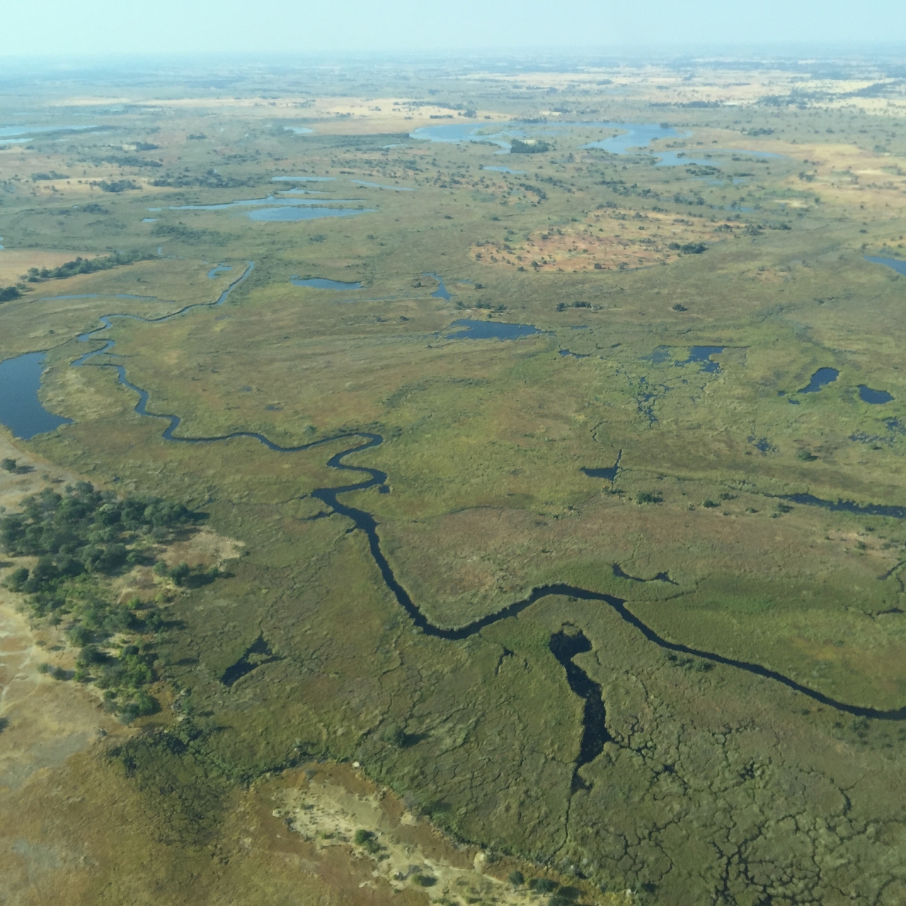 [28106] 2016_07_02_09_27_53_Africa_iPhone_6_Plus_IMG_5016_07429.jpg