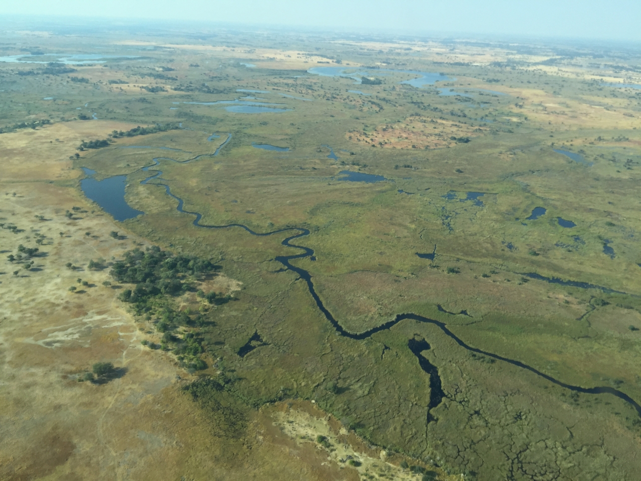 [28107] 2016_07_02_09_27_54_Africa_iPhone_6_Plus_IMG_4703_00141.jpg
