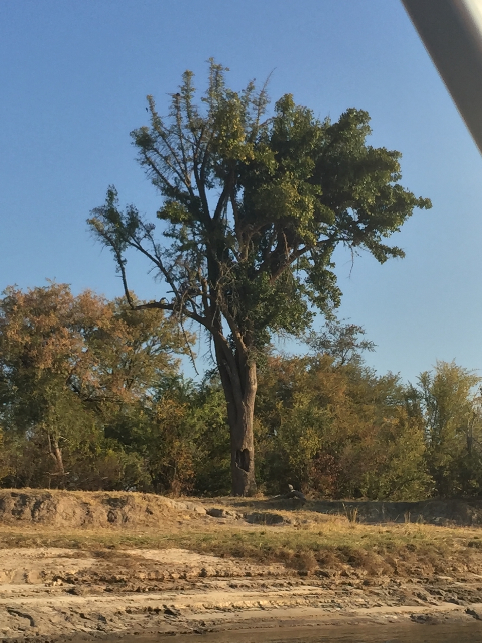 [28802] 2016_07_02_16_32_30_Africa_iPhone_6_Plus_IMG_4804_07262.jpg