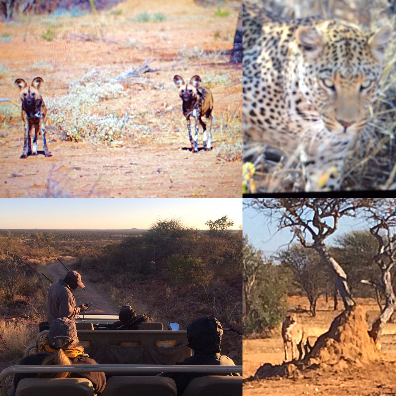 [2525] 2016_06_22_09_16_42_Africa_Other_Cameras_IMG__00001.jpg