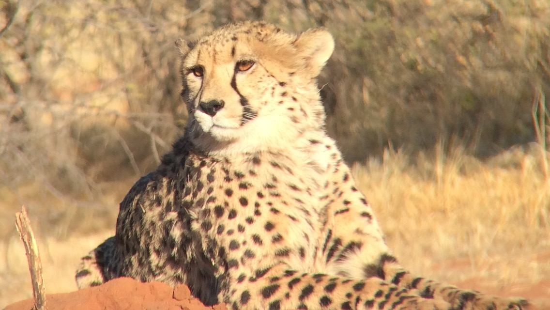 [6717] 2016_06_23_10_58_24_Africa_Other_Cameras_IMG__00347.jpg