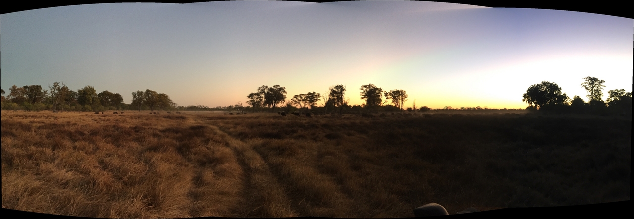 [34593] 2016_08_07_18_30_28-04_00_Africa_Other_Cameras_IMG_8547_01078.jpg