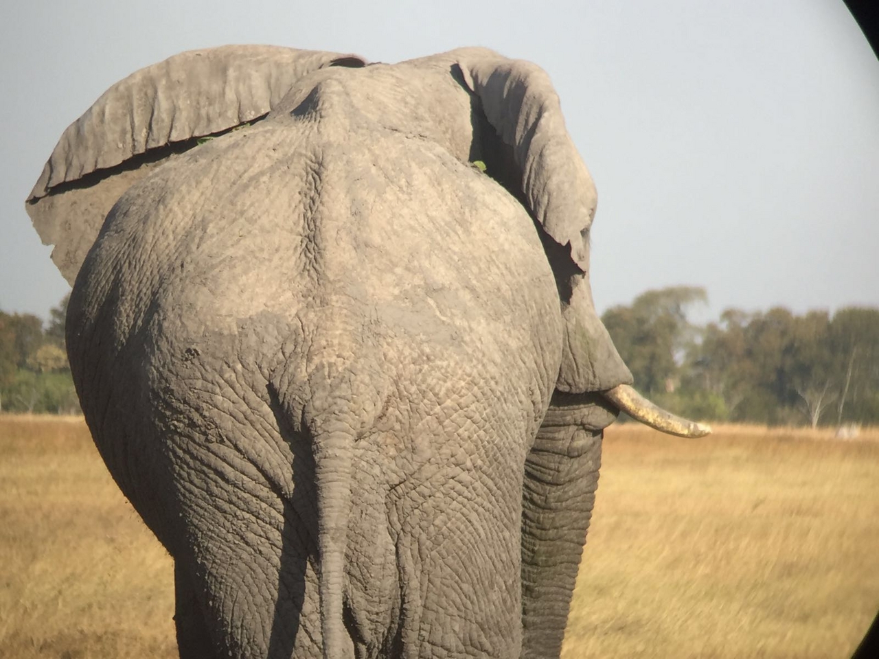 [34731] 2016_08_07_19_17_18-04_00_Africa_Other_Cameras_IMG_4962_00311.jpg