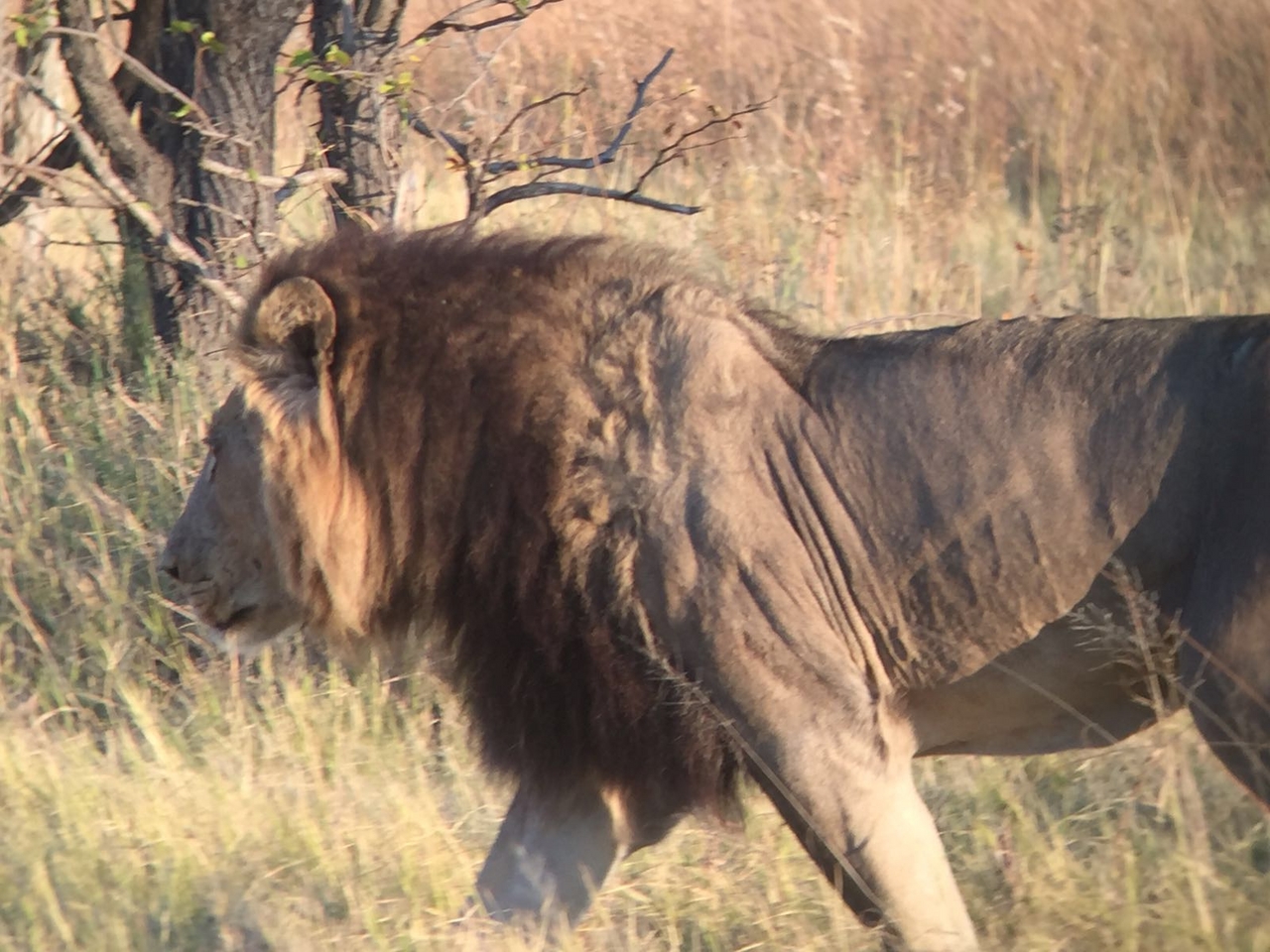 [34744] 2016_08_07_19_19_54-04_00_Africa_Other_Cameras_IMG_4960_00797.jpg