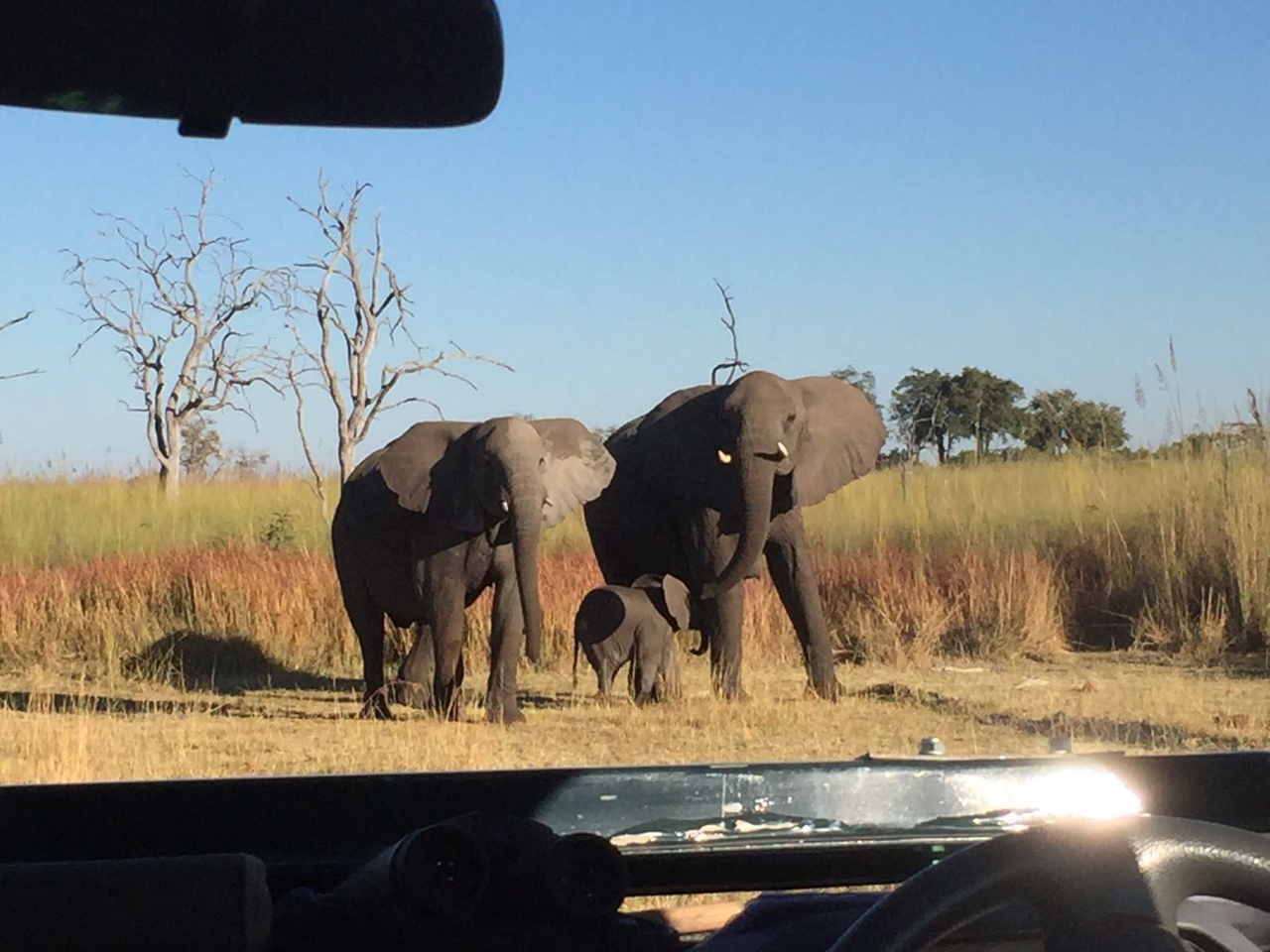 [34778] 2016_08_07_19_24_37-04_00_Africa_Other_Cameras_IMG_4956_07377.jpg