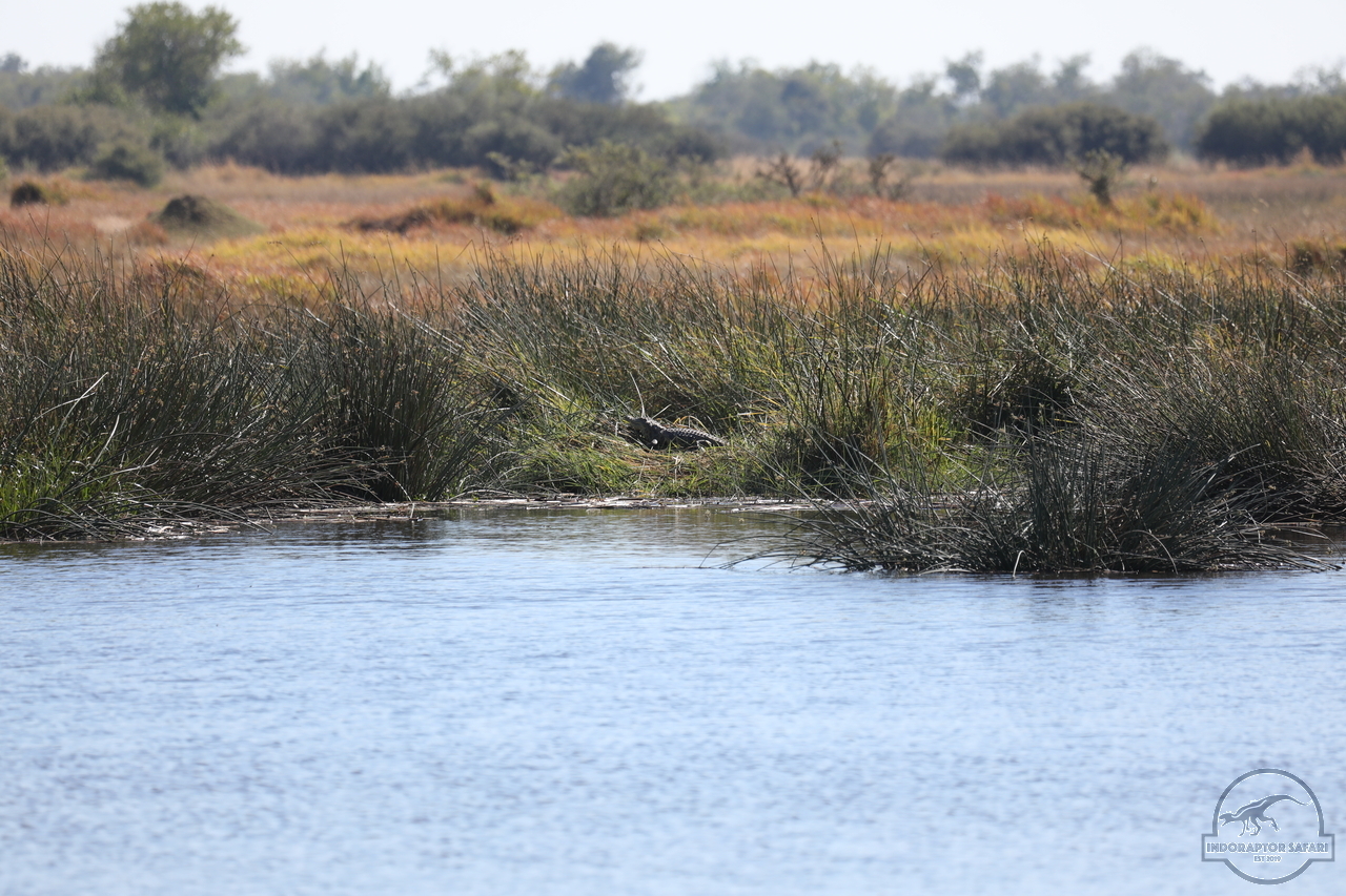 [33] 2019_06_20_15_59_26_Africa_Canon_EOS_5D_Mark_IV_IMG_0001243_00002.jpg