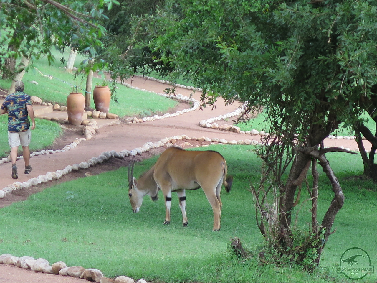 [50] 2019_06_29_09_49_21_Africa_Canon_PowerShot_G16_IMG_0199_00005.jpg