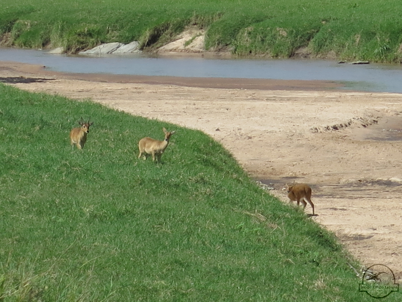 [147] 2019_07_01_04_09_10_Africa_Canon_PowerShot_G16_IMG_0194_00038.jpg