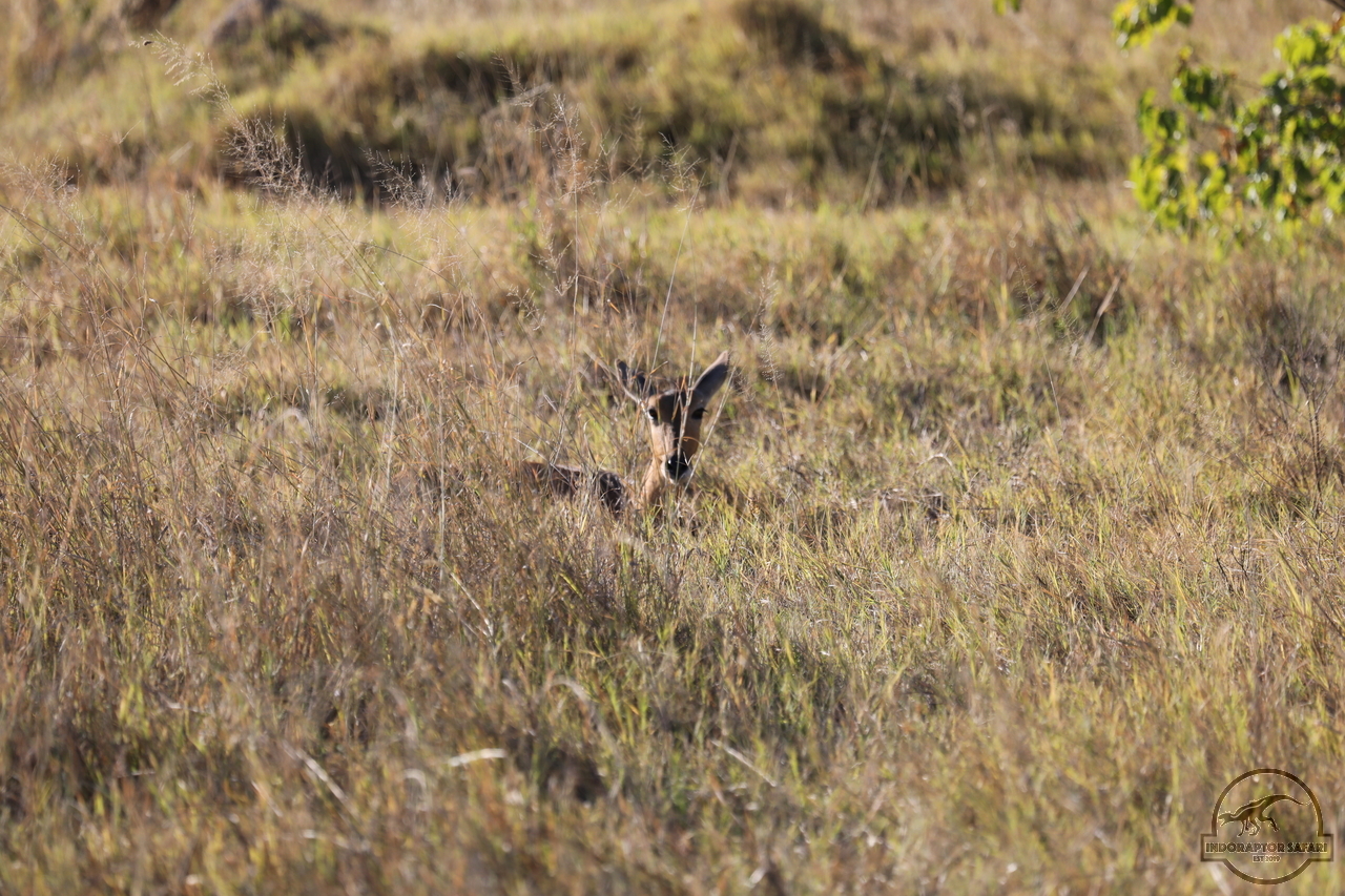 [170] 2019_06_21_21_37_45_Africa_Canon_EOS_5D_Mark_IV_IMG_0004338_00001.jpg