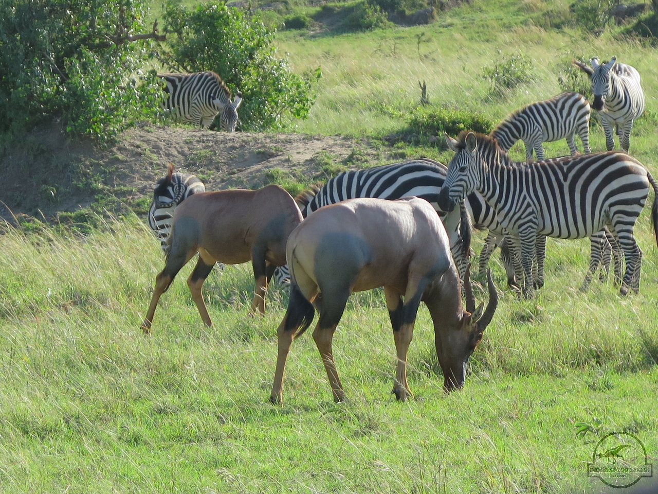 [198] 2019_07_03_01_35_34_Africa_Canon_PowerShot_G16_IMG_0030_00053.jpg