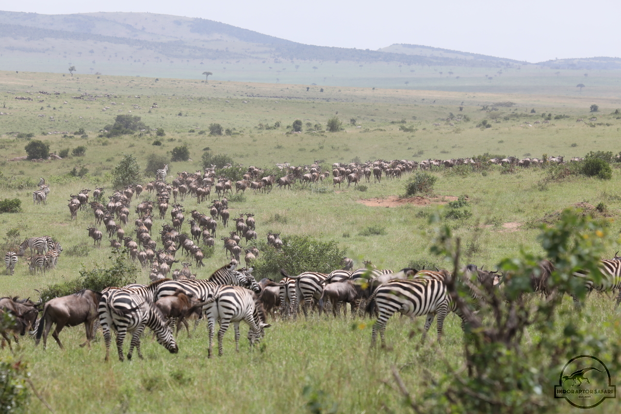[234] 2019_07_02_17_25_50_Africa_Canon_EOS_5D_Mark_IV_IMG_0012845_00061.jpg