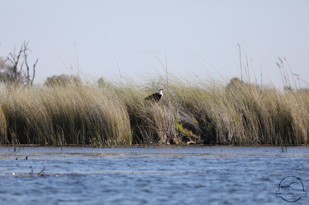 [252] 2019_06_21_17_09_20_Africa_Canon_EOS_5D_Mark_IV_IMG_0003915_00003.jpg