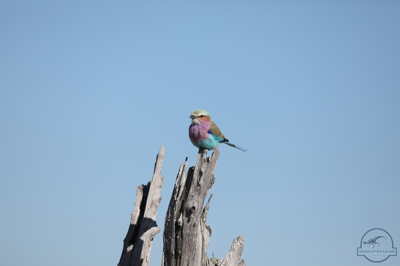 [322] 2019_06_20_14_50_43_Africa_Canon_EOS_5D_Mark_IV_IMG_0001093_00118.jpg