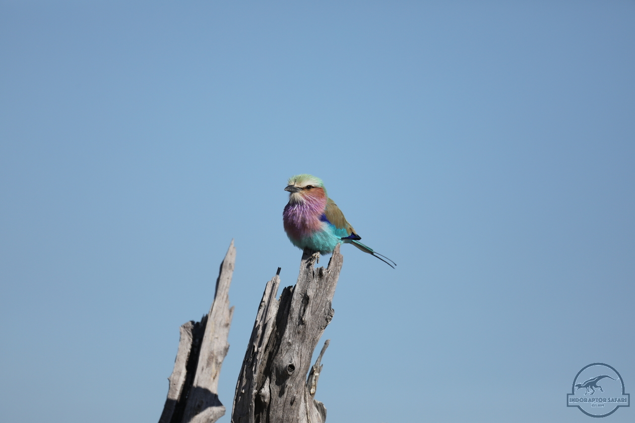 [325] 2019_06_20_14_50_45_Africa_Canon_EOS_5D_Mark_IV_IMG_0001094_00119.jpg