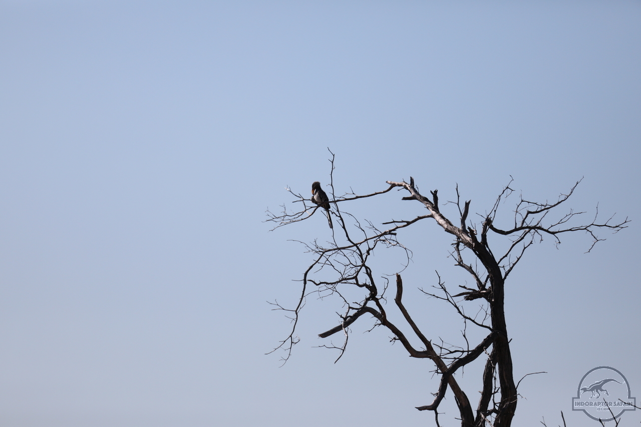 [414] 2019_06_22_14_54_04_Africa_Canon_EOS_5D_Mark_IV_IMG_0002725_00057.jpg