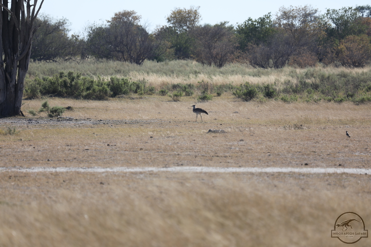[474] 2019_06_20_14_39_20_Africa_Canon_EOS_5D_Mark_IV_IMG_0001045_00169.jpg