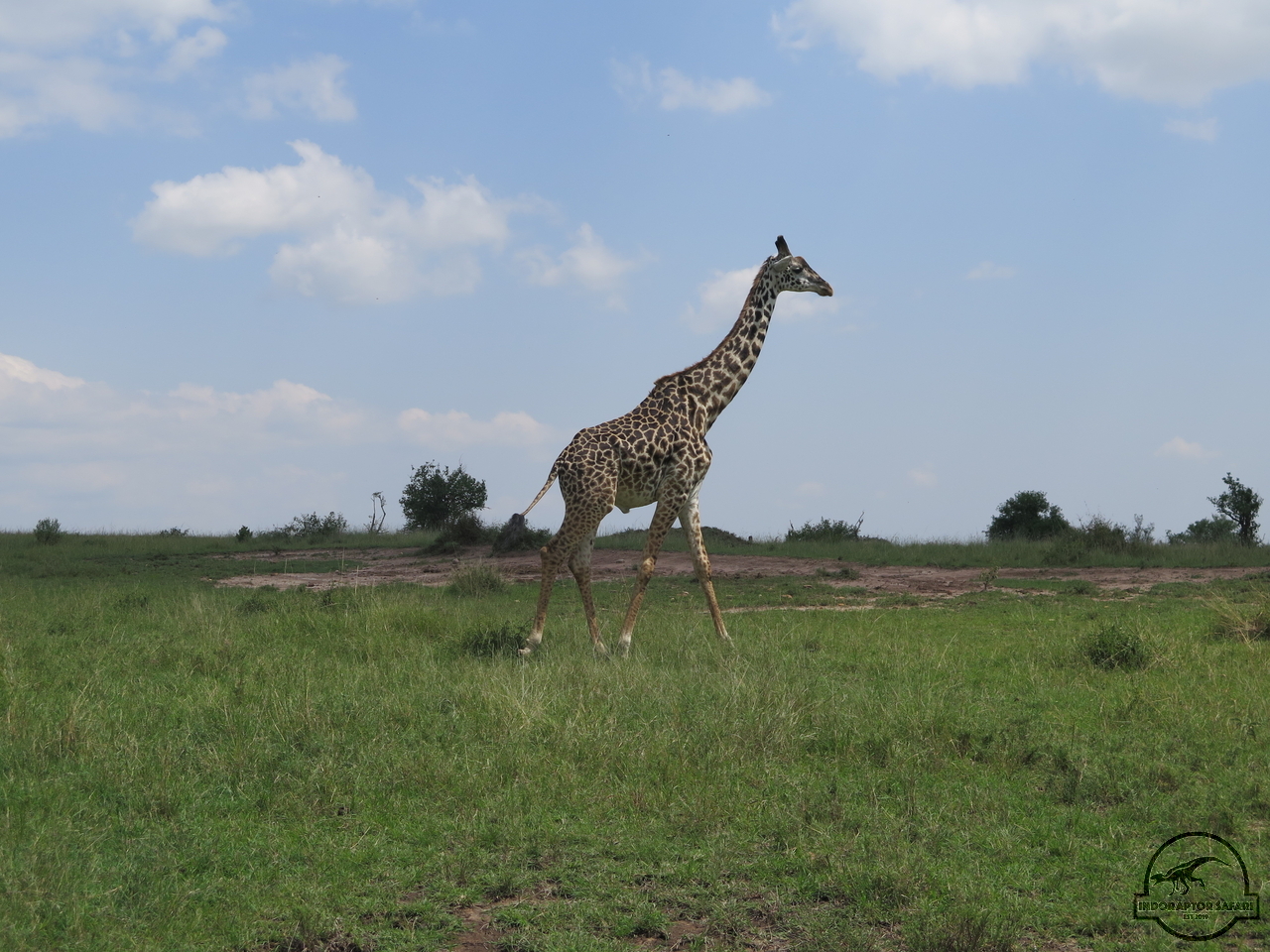 [600] 2019_06_29_05_26_33_Africa_Canon_PowerShot_G16_IMG_0144_00235.jpg