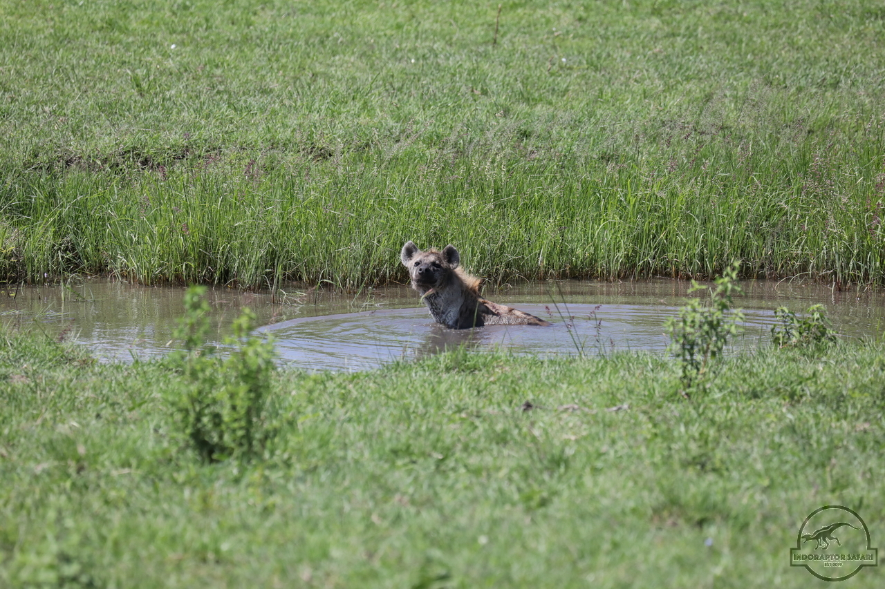 [1067] 2019_07_03_15_09_34_Africa_Canon_EOS_5D_Mark_IV_IMG_0013203_00008.jpg