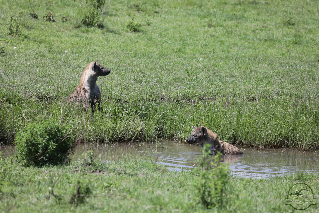 [1069] 2019_07_03_15_10_57_Africa_Canon_EOS_5D_Mark_IV_IMG_0013237_00009.jpg