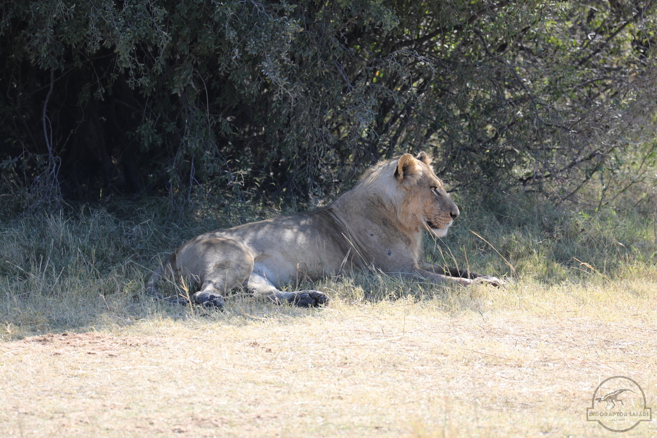 [1071] 2019_06_20_16_06_33_Africa_Canon_EOS_5D_Mark_IV_IMG_0001267_00001.jpg