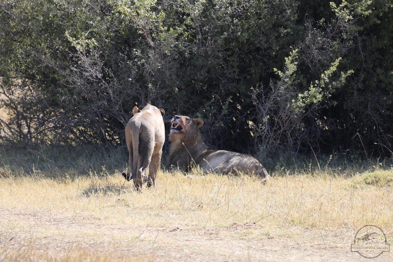 [1075] 2019_06_20_16_08_57_Africa_Canon_EOS_5D_Mark_IV_IMG_0001329_00003.jpg