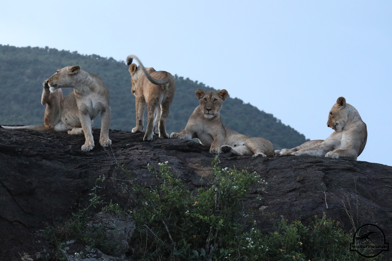 [1150] 2019_07_03_22_52_52_Africa_Canon_EOS_5D_Mark_IV_IMG_0015210_00495.jpg