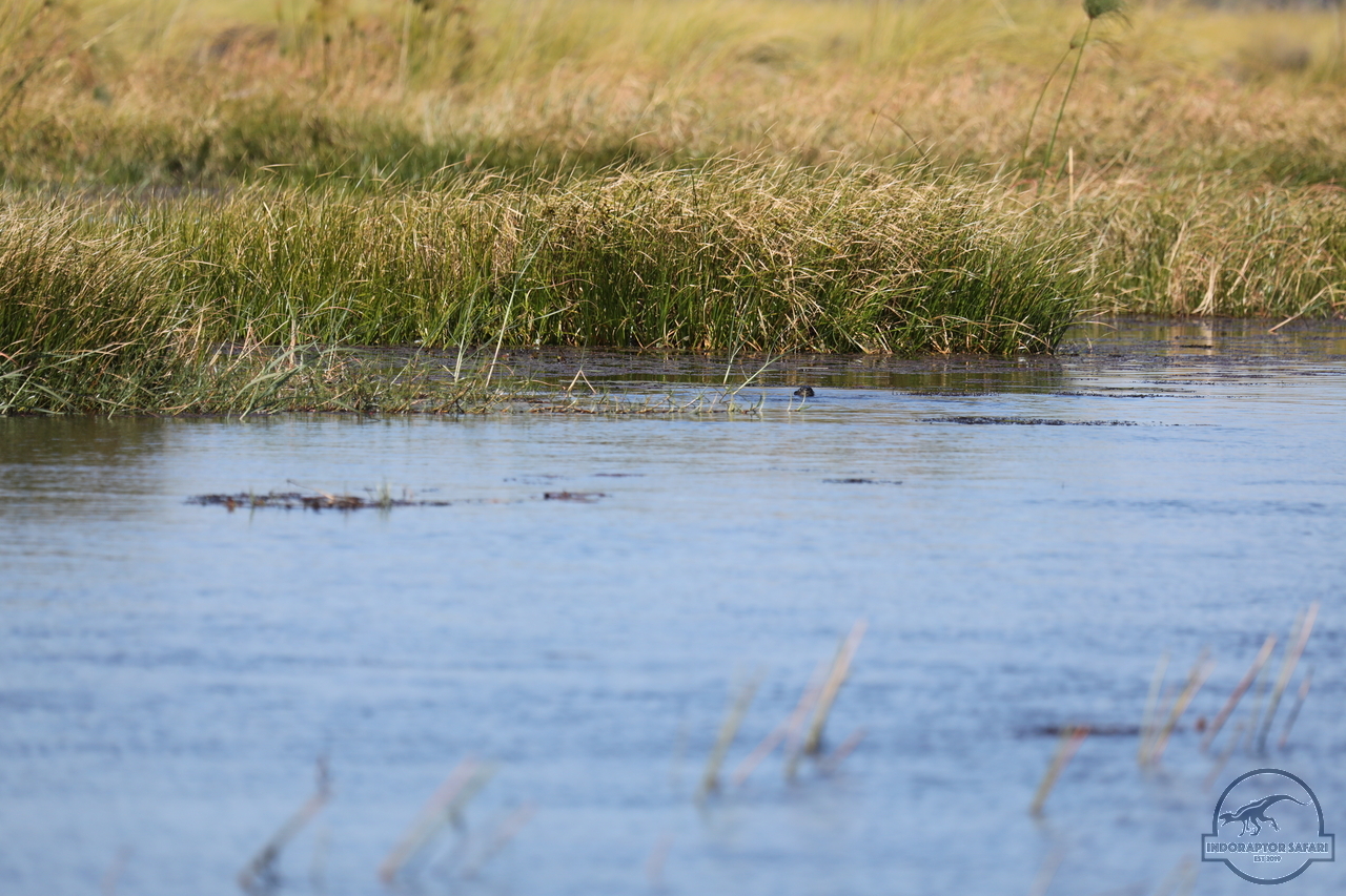 [1175] 2019_06_21_17_32_03_Africa_Canon_EOS_5D_Mark_IV_IMG_0004046_00002.jpg