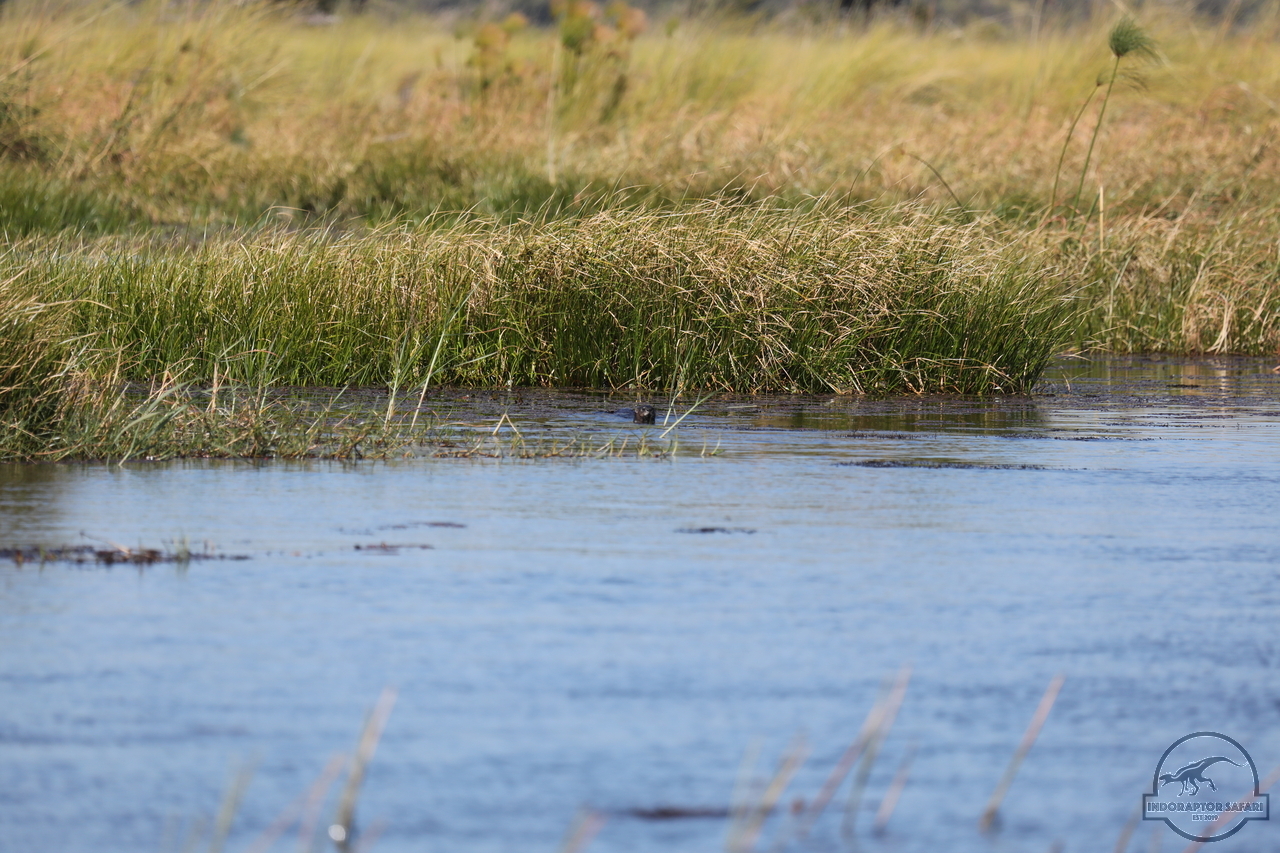 [1187] 2019_06_21_17_32_06_Africa_Canon_EOS_5D_Mark_IV_IMG_0004052_00008.jpg