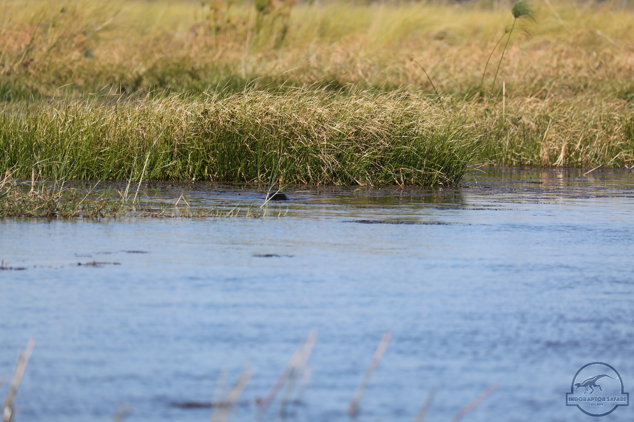 [1193] 2019_06_21_17_32_08_Africa_Canon_EOS_5D_Mark_IV_IMG_0004055_00011.jpg