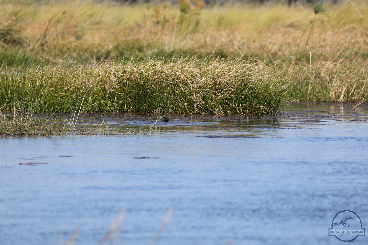 [1197] 2019_06_21_17_32_09_Africa_Canon_EOS_5D_Mark_IV_IMG_0004057_00013.jpg