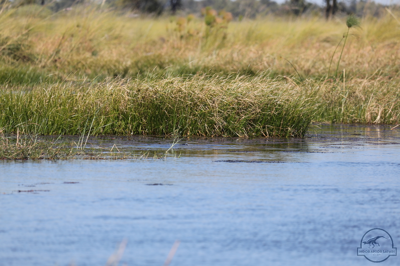 [1199] 2019_06_21_17_32_10_Africa_Canon_EOS_5D_Mark_IV_IMG_0004058_00014.jpg