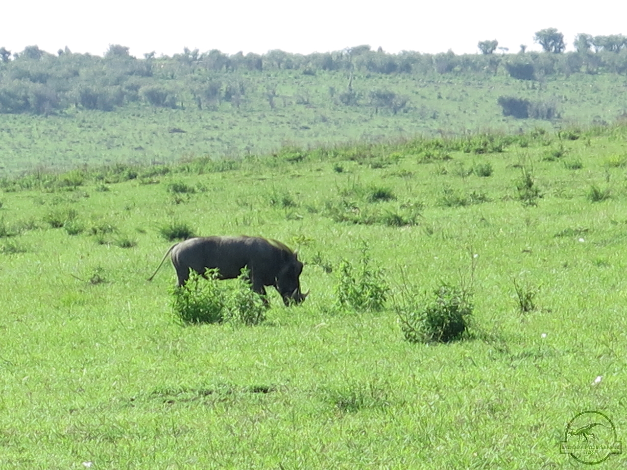 [1220] 2019_07_01_02_45_07_Africa_Canon_PowerShot_G16_IMG_0154_00542.jpg